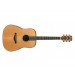 IBANEZ AW3050 LG akustična kitara
